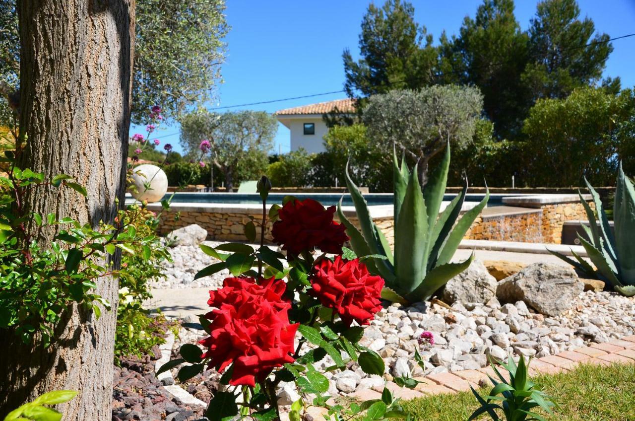 Appartements Du Jas De Clare La Cadiere-d'Azur Dış mekan fotoğraf
